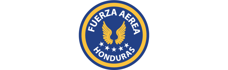 fuerza aerea